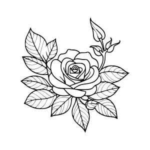 Black & White Rose Floral Illustration