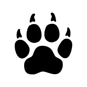 Black Paw Print Icon - Vector Illustration
