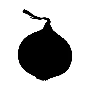 Black Onion Silhouette Vector Graphic
