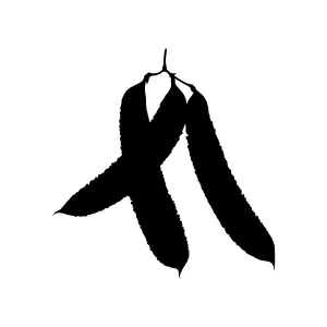 Black Leaf Silhouette - Minimalist Design
