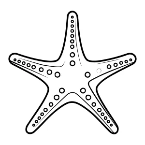 Black & White Starfish Illustration