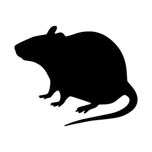 Black Rat Silhouette Vector Illustration
