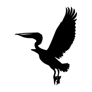 Silhouette Pelican Flying - Black Outline