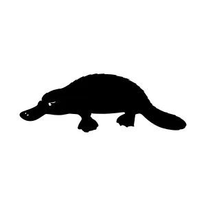 Silhouette Platypus Vector Graphic