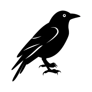Black Crow Silhouette Vector Illustration