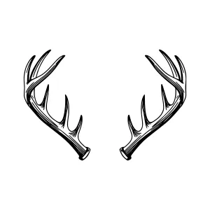 Vintage Black Antlers Illustration - Decorative Elements