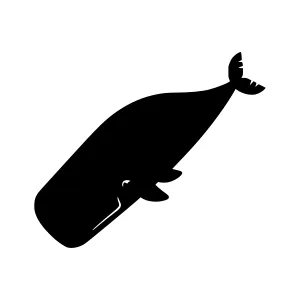 Silhouette Whale Illustration - Minimalist Design