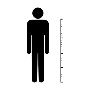 Silhouette Man Height Chart Icon