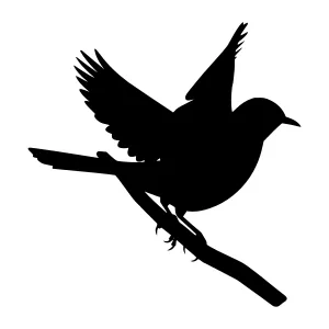 Silhouette Bird Flying on Branch