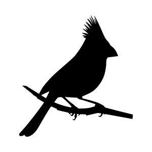 Cardinal Silhouette Vector Illustration