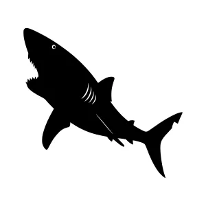 Shark Silhouette Vector Illustration