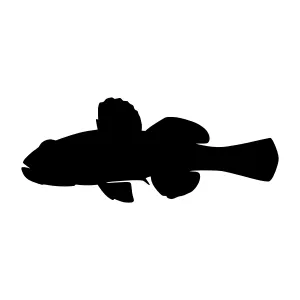 Black Fish Silhouette Vector Illustration