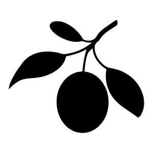 Black Citrus Silhouette - Simple Branch Icon