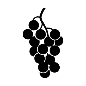 Black Grape Cluster Icon - Vector Illustration