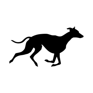 Silhouette Greyhound Running - Minimalist Vector