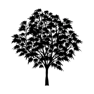 Black Tree Silhouette on White Background