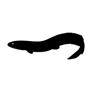 Black Eel Silhouette Vector Illustration