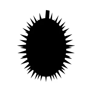 Abstract Black Star Silhouette Vector Graphic