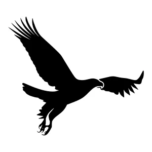 Silhouette Eagle in Flight - Vector Graphic