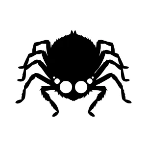 Black Spider Silhouette Icon