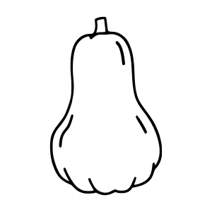 Cartoon Butternut Squash Outline