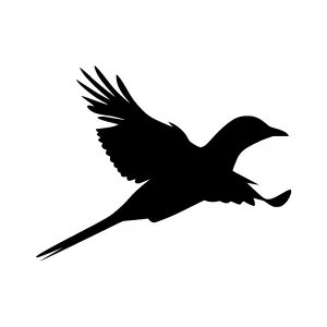 Black Bird Silhouette Flying - Minimalist Vector