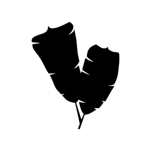 Black Leaf Silhouette Vector Icon