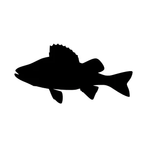 Black Fish Silhouette Vector Illustration