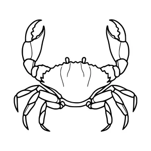 Cartoon Crab Illustration - Black Outline