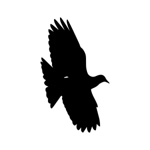 Silhouette Bird Flying - Simple Vector Graphic