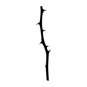 Black Rose Thorn Silhouette Vector