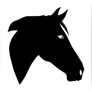 Black Horse Silhouette Vector Illustration