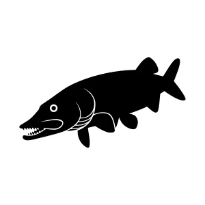 Black Pike Fish Silhouette Vector Icon