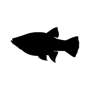 Silhouette Fish Graphic Vector Icon