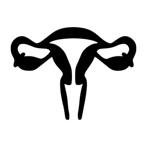 Female Reproductive System Icon - Black Silhouette