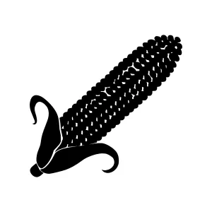 Black Corn Silhouette Icon