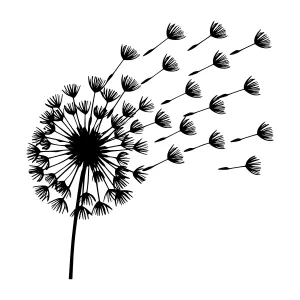 Dandelion Seed Head Silhouette