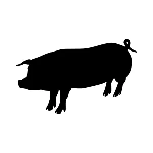 Pig Silhouette Vector Illustration