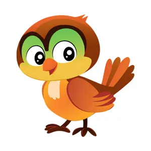 Cute Cartoon Owl Illustration
