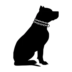 Silhouetted Pitbull Dog with Chain Necklace
