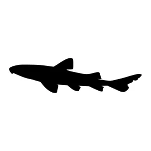Shark Silhouette Vector Graphic