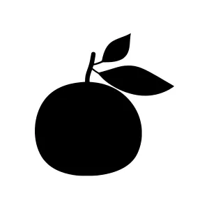 Orange Fruit Silhouette Icon
