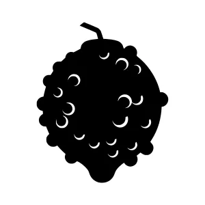 Vintage Grapes Silhouette Icon - Black on White