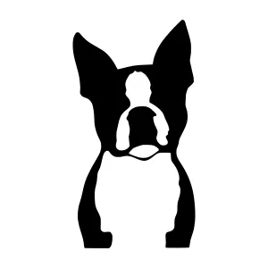 Boston Terrier Silhouette Vector Illustration