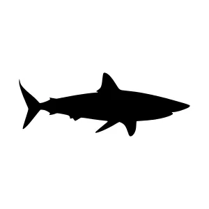 Shark Silhouette Vector Icon