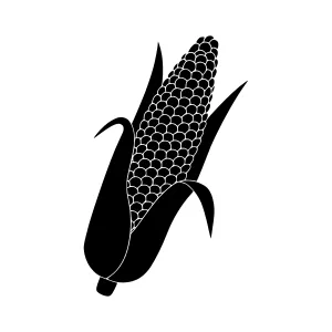 Black Corn Silhouette Icon