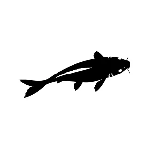 Koi Fish Silhouette Vector Graphic