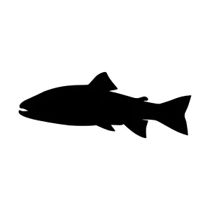 Black Fish Silhouette Vector Icon