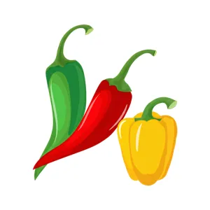 Colorful Chili Peppers & Yellow Bell Peppers - Vector Illustration