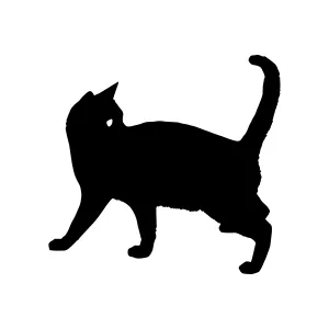 Black Cat Silhouette Vector Illustration